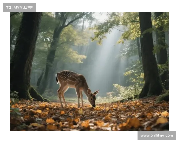 财神到致富宝典：玩法攻略大揭秘